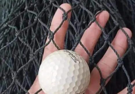 Jaring Golf (3)